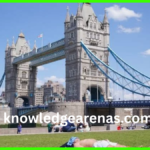 knowledgearenas.com (25)