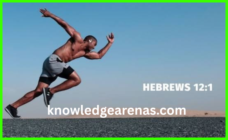 knowledgearenas.com (26)